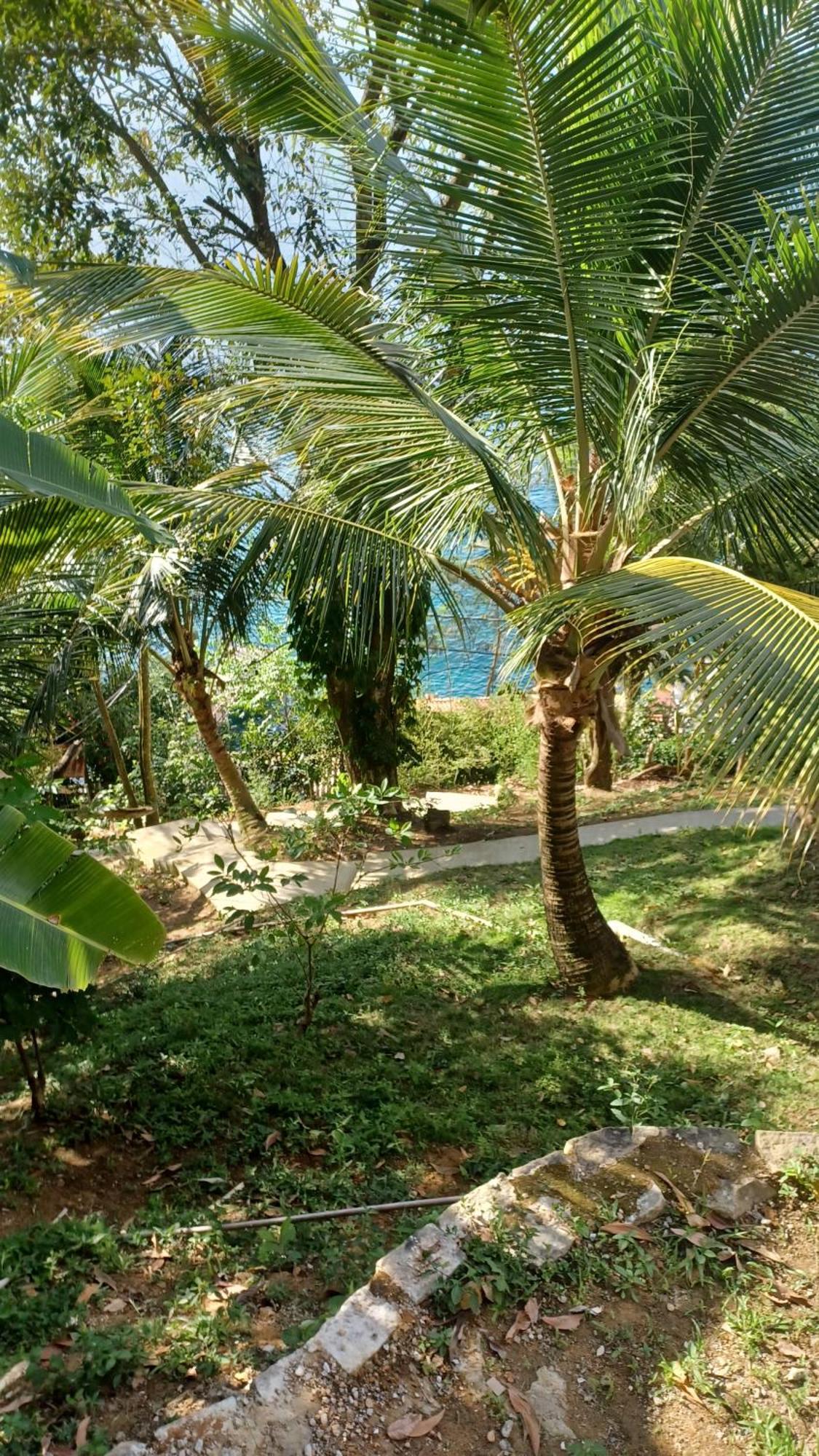 Saracura Hotel Praia de Araçatiba Kültér fotó